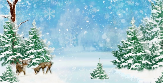 Искали ёлку