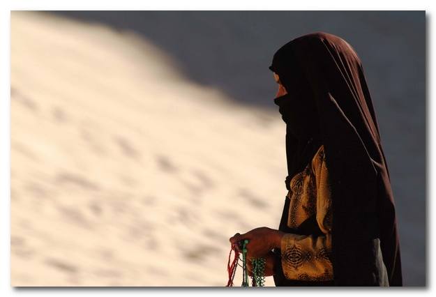 Разумный человек обязан быть стыдливым