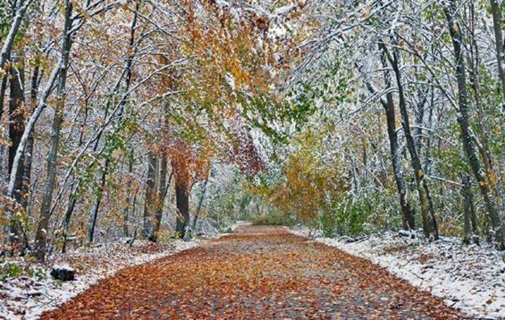 Выхожу в ноябрьскую прохладу