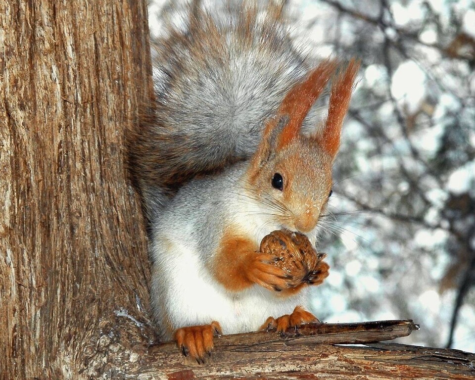 Кто твой Господь? - 25