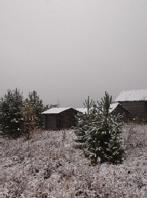 Снежным одеянием...