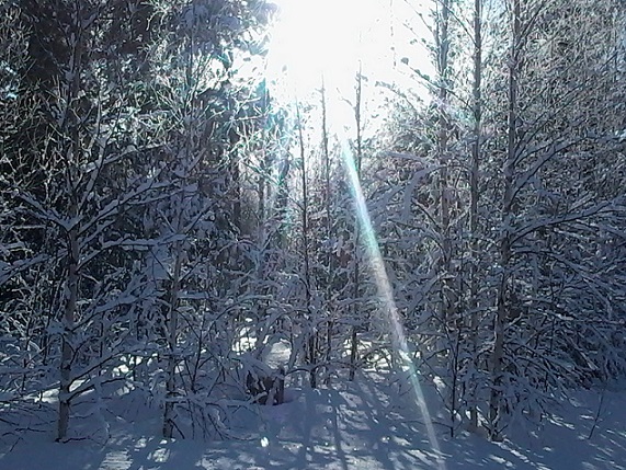А ведь такая красота...
