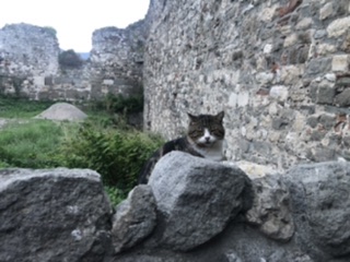 Амасра-городок