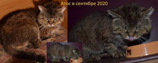 Атос. Мир не знает, что умер с тобой