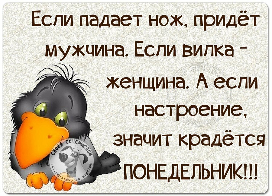 Что значит приходить в себя. Веселые высказывания. Статусы про настроение. Прикольные высказывания. Смешные высказывания про настроение.