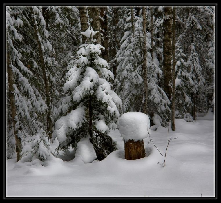 На пенёчек присела зима