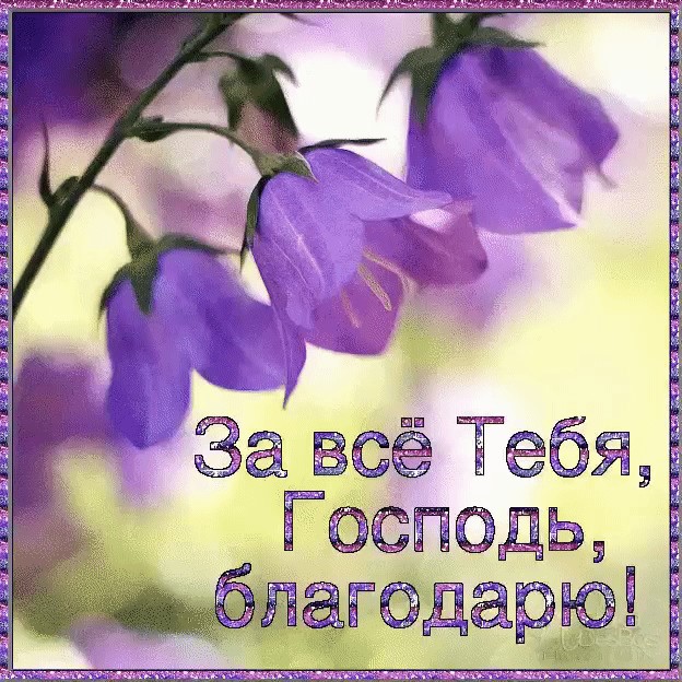 Я Господа всегда благодарю!