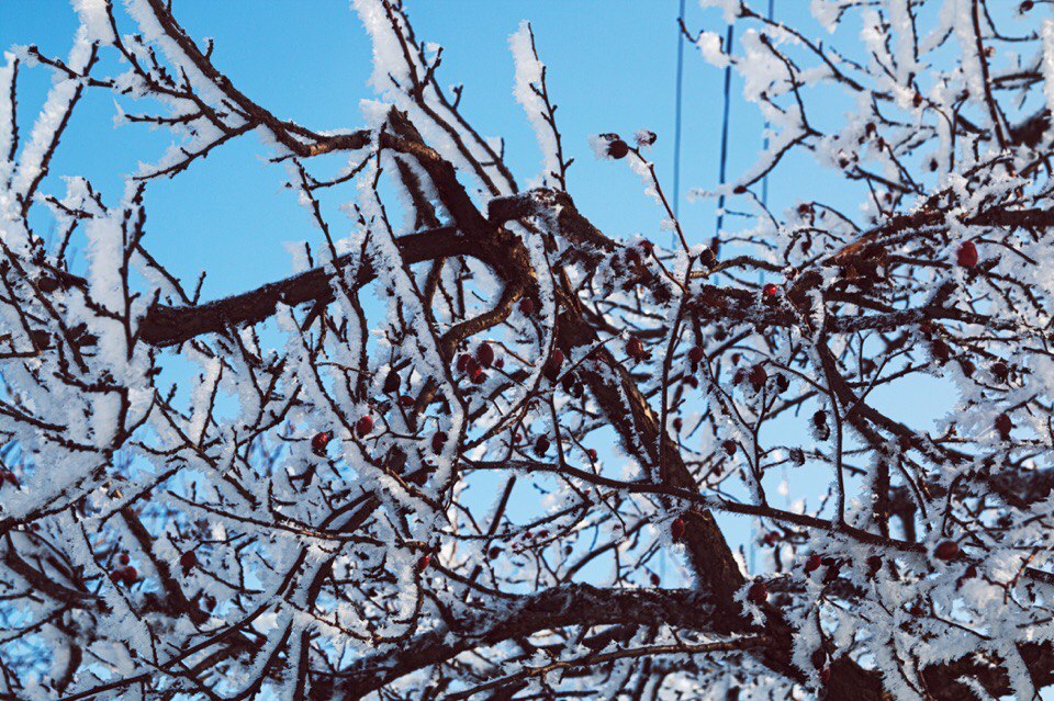 Считалочка