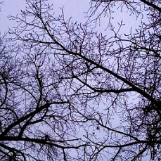 Последний день ноября