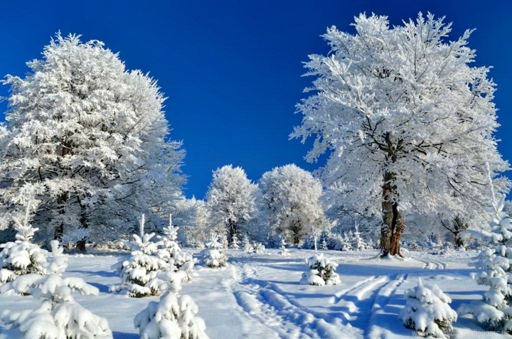 Поспорил с декабрём апрель