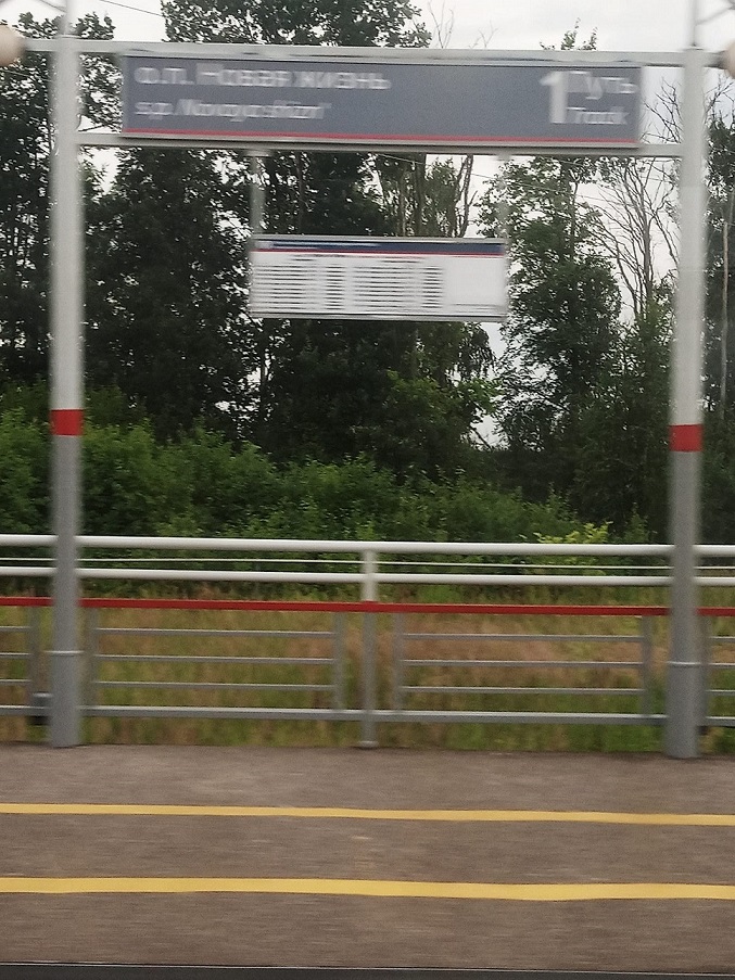 Полуфинал Турнира поэтов 2020