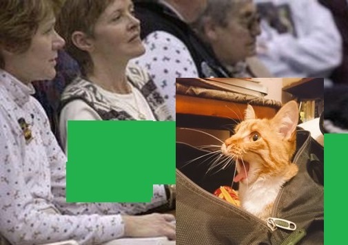 Ария кота Василия - Игра Воображения