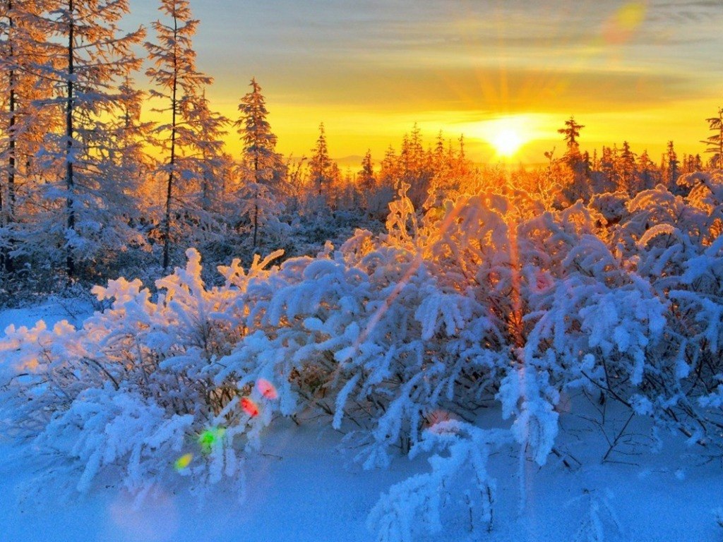 Солнце приходит с проверкой