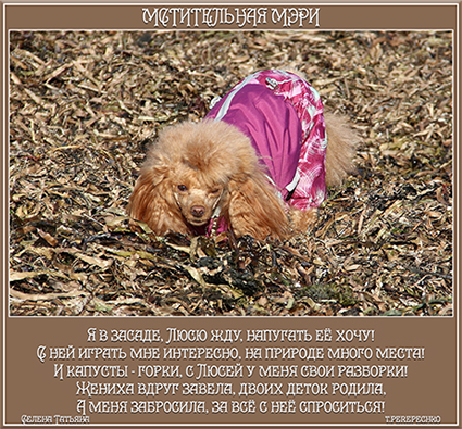 Мстительная Мэри