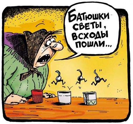 По всем приметам