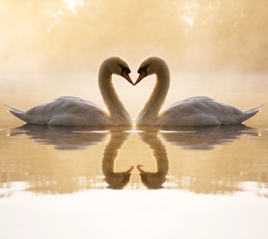 Ты нужен мне