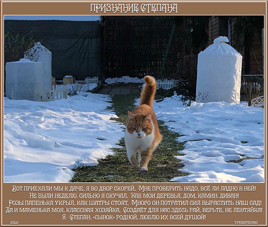 Признание Степана