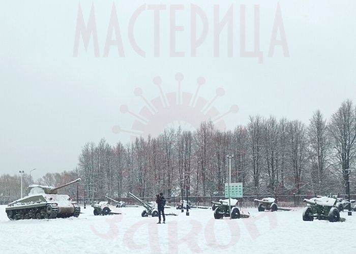 Души теплом и добротой вместе отогреваем