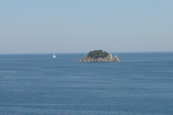 Мучает душу мою сожаленье