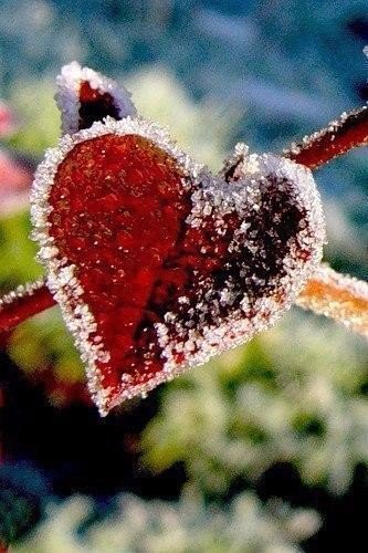 А я позволила себе, быть не такой как все!