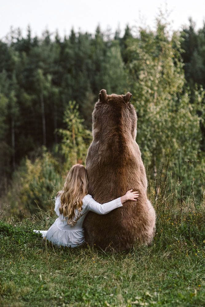 Из цикла Медведь ищет ПА РОЧ КУ 100