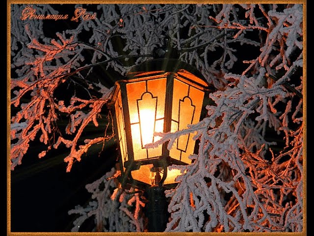 Я давно в эту землю влюбился!