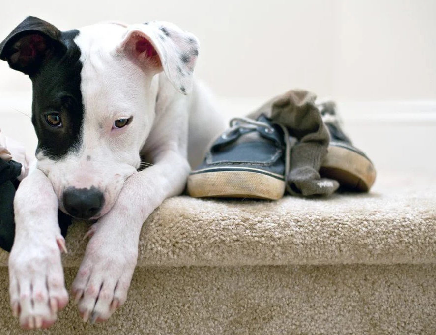 Одна спортивная история