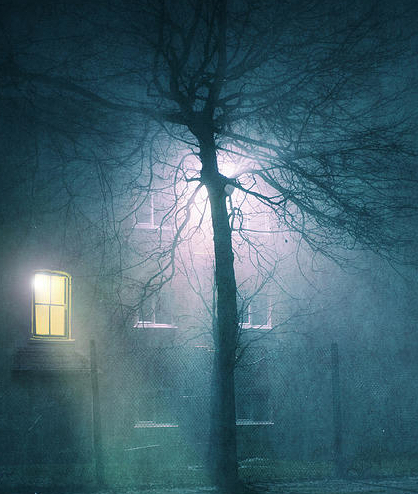 Тёмная ночь