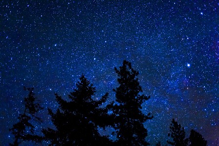 Взошла луна