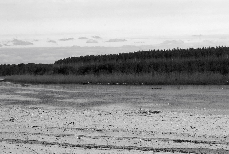 Облако в нефти