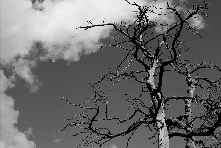 Причитания Старого Усти