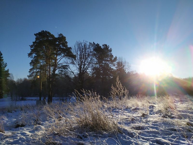 Зимнее солнце
