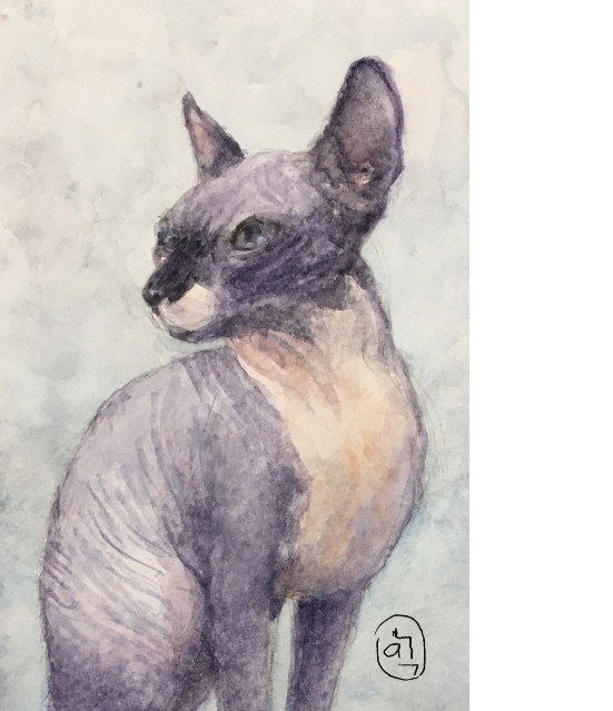 Бокал Божоле