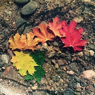 стать и быть