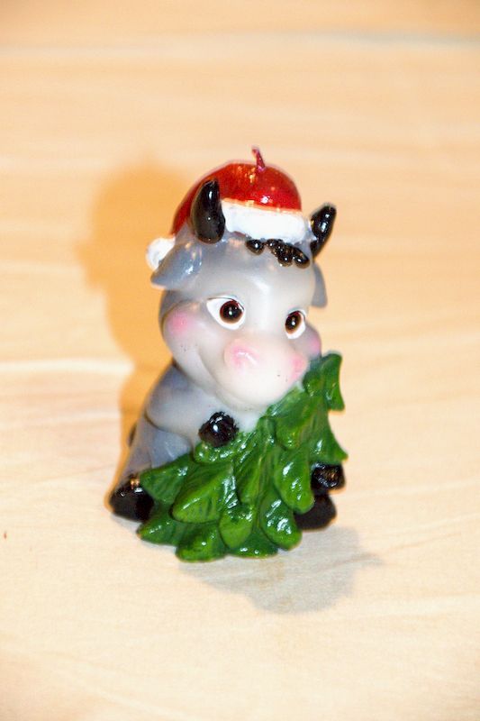 2021 год Быка - Коровы