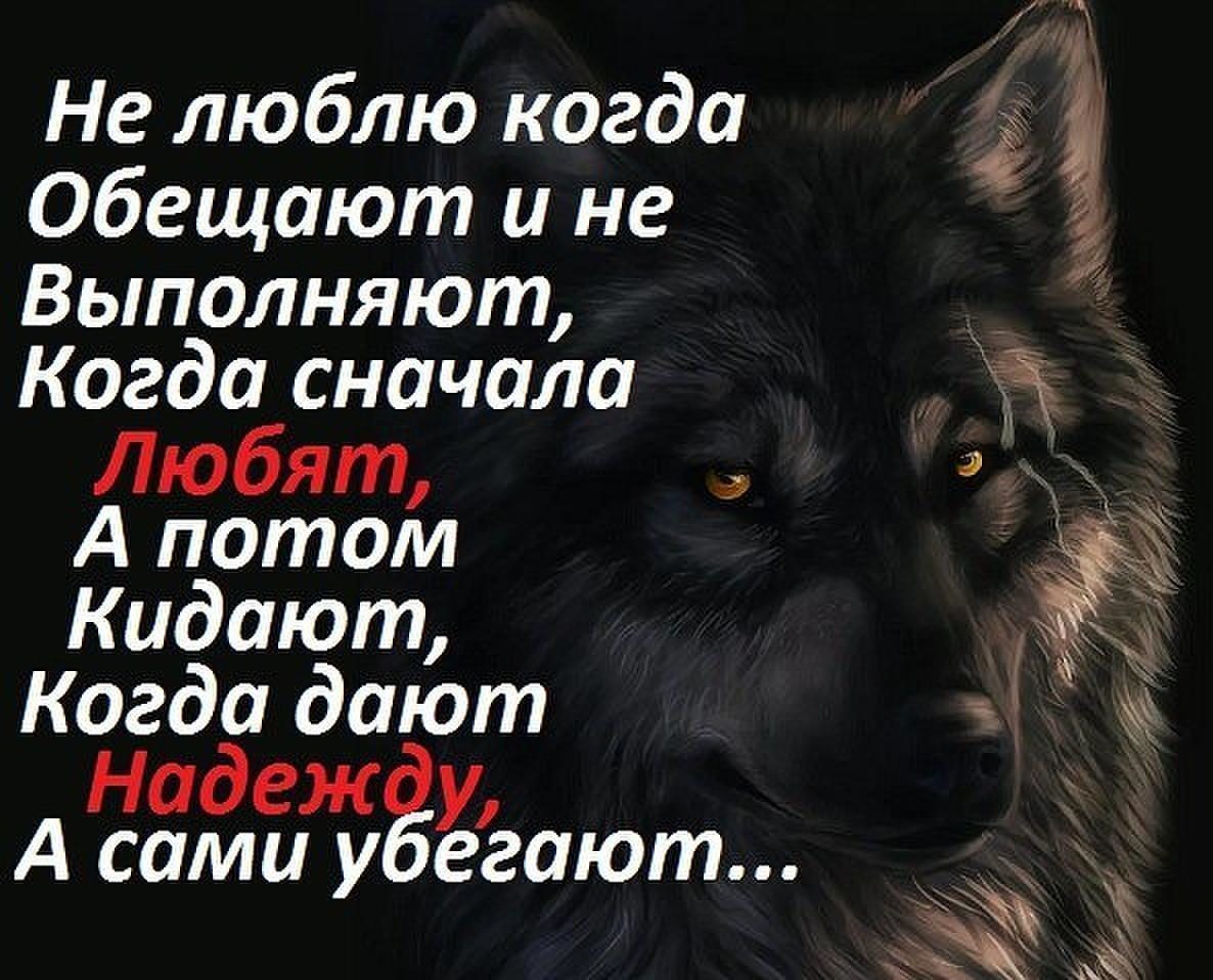 Человек много обещает. Статусы с волками. Статусы про Волков. Красивые цитаты с волками. Волк умные цитаты.