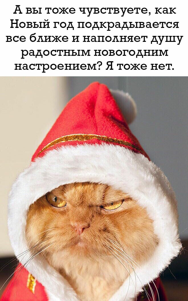 А че так быстро? Ну с Новым Годом хуле 2022 Мехрубан Шукуров ВКонтакте