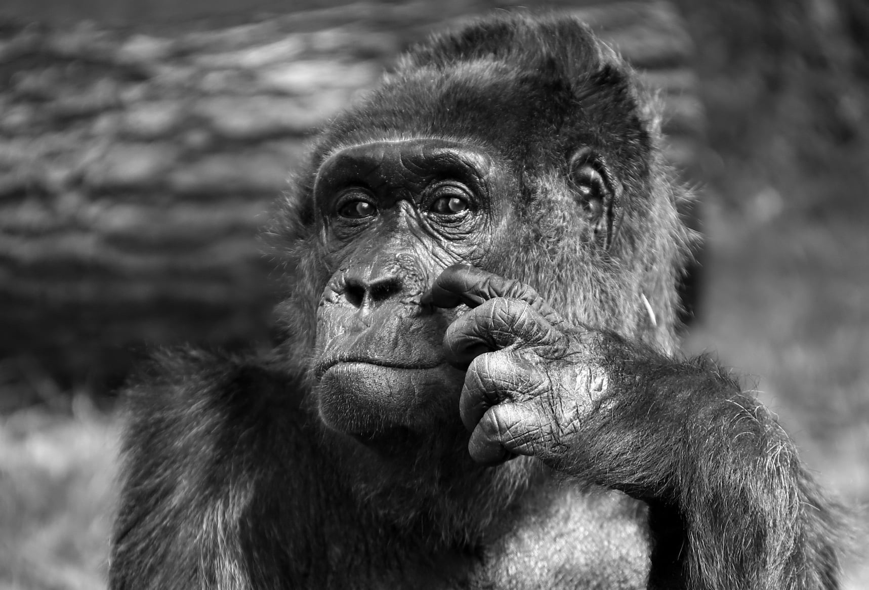 И яяяяяяя. Перешагнули миллионы