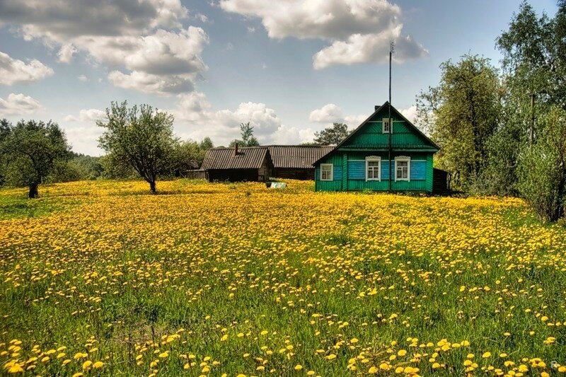 Навещайте чаще матерей