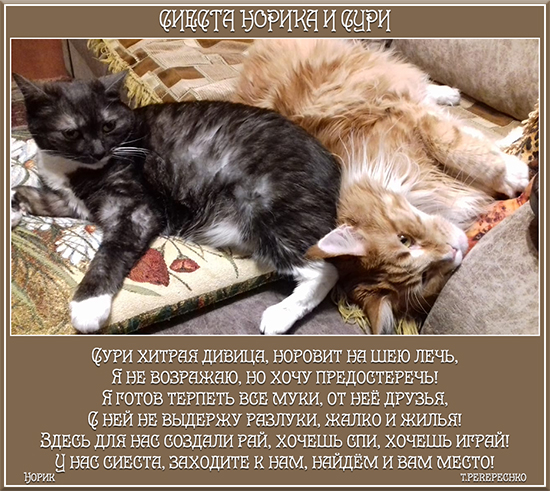 Сиеста Норика и Сури