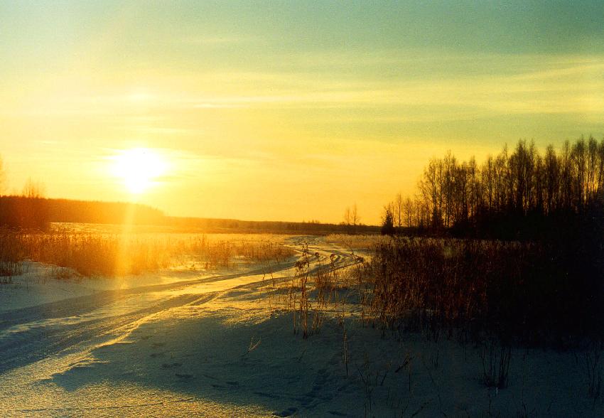 Голосование. Поверим в солнце! Конкурс ассоциаций