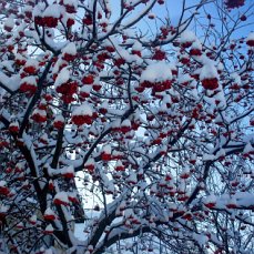 А мы ещё успеем написать...