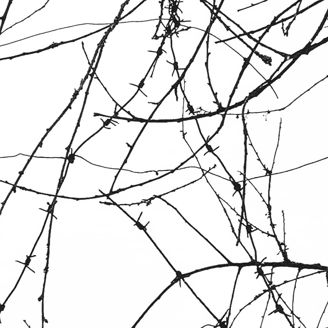 Этюд 43. 12 февраля 2019 г