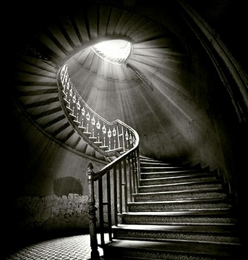 Следуй за мной