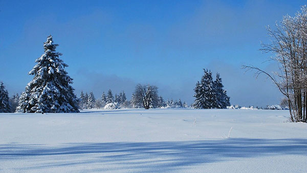 Сказка декабря