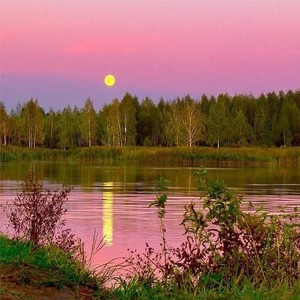 Главная мечта