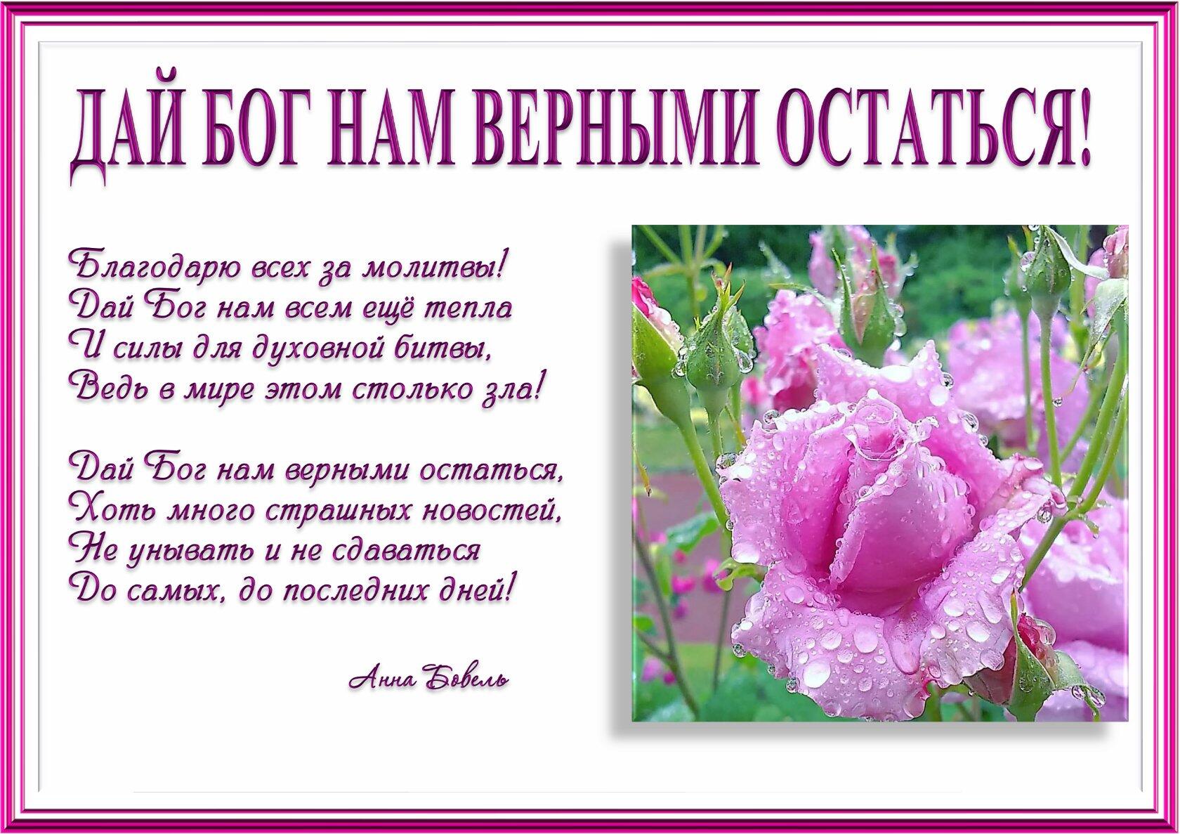 Дай бог хорошего дня
