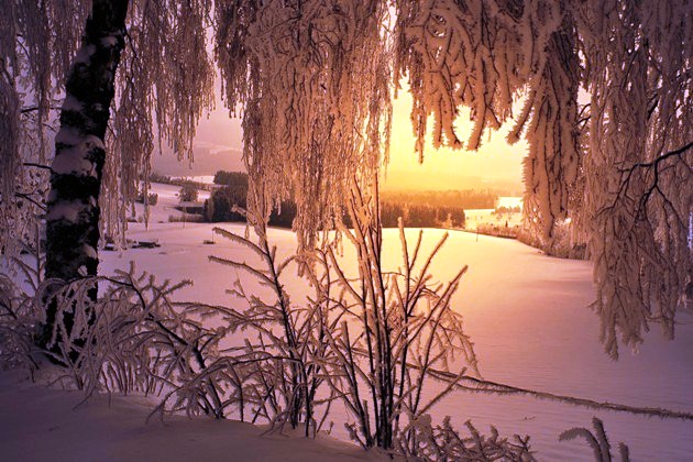 Далёкий берег