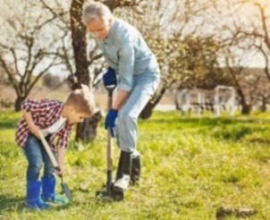 Загадка жизни