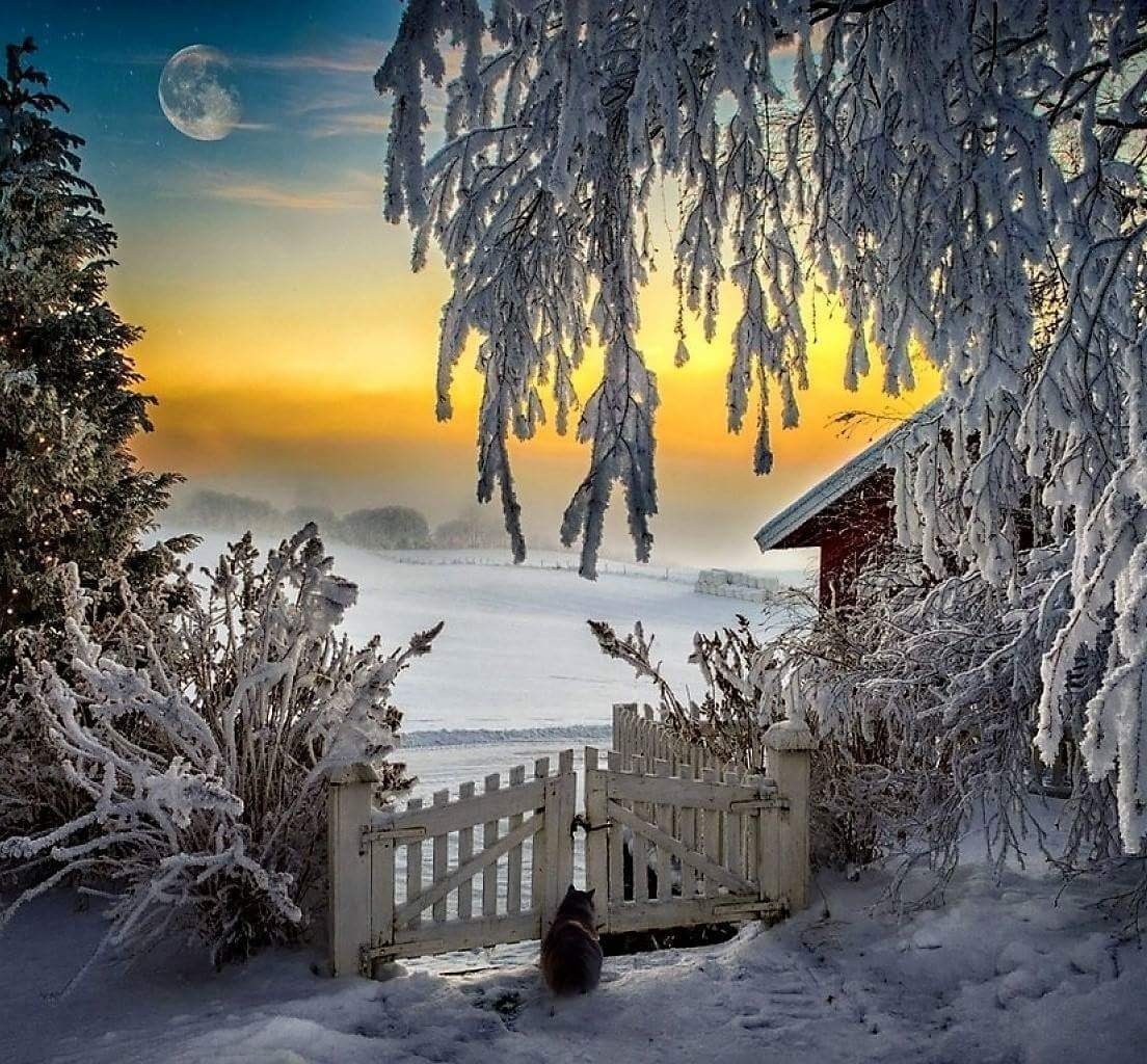 Удивительная зима